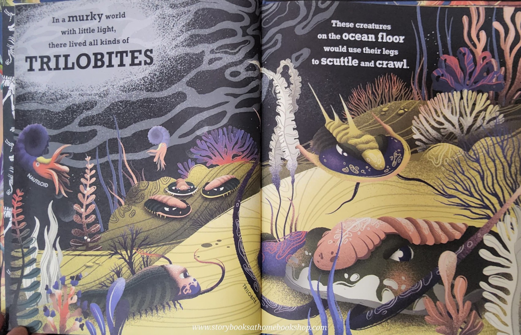 KNOWLEDGE BOOK** ♥️THE BEASTS BENEATH OUR FEET A PREHISTORIC POEM