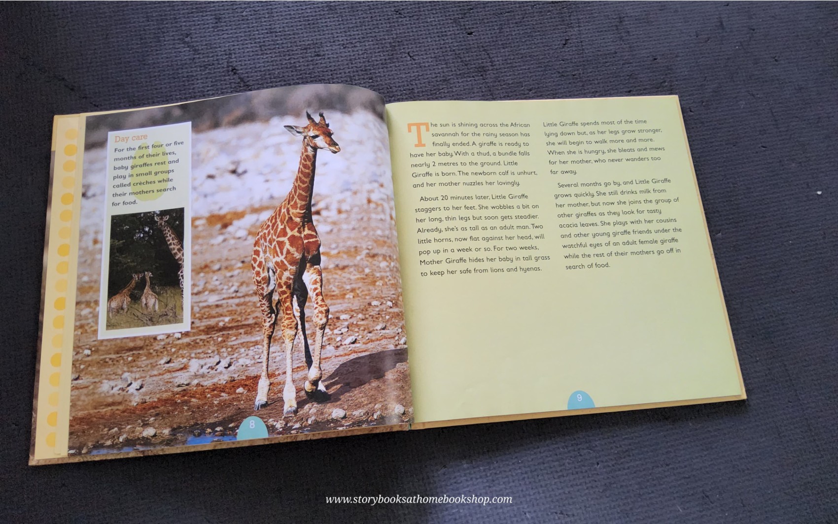 KNOWLEDGE BOOK** ♥️♥️ALL ABOUT ANIMAL:GIRAFFE