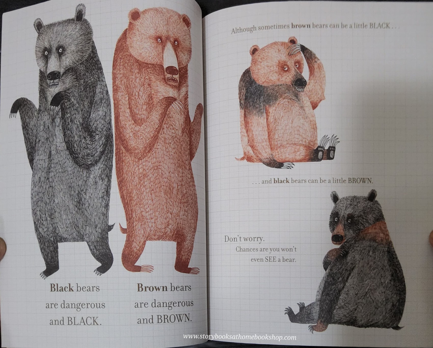 หนังสือนิทานปกอ่อน ** 🍅🍓A BEGINNER'S GUIDE TO BEAR SPOTTING