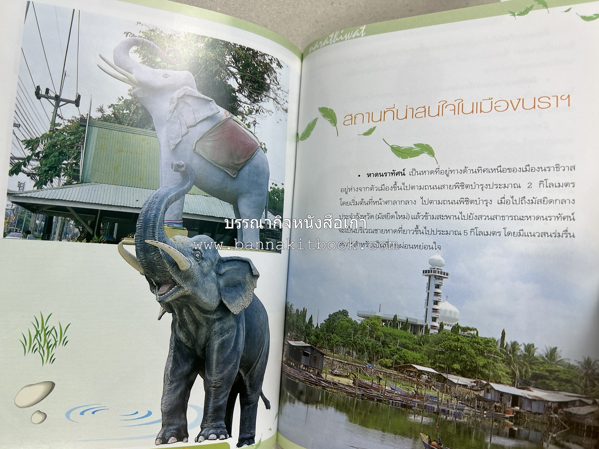 นราธิวาส สารคดีชุดถิ่นทองของไทย โดย : สมัย สุทธิธรรม.