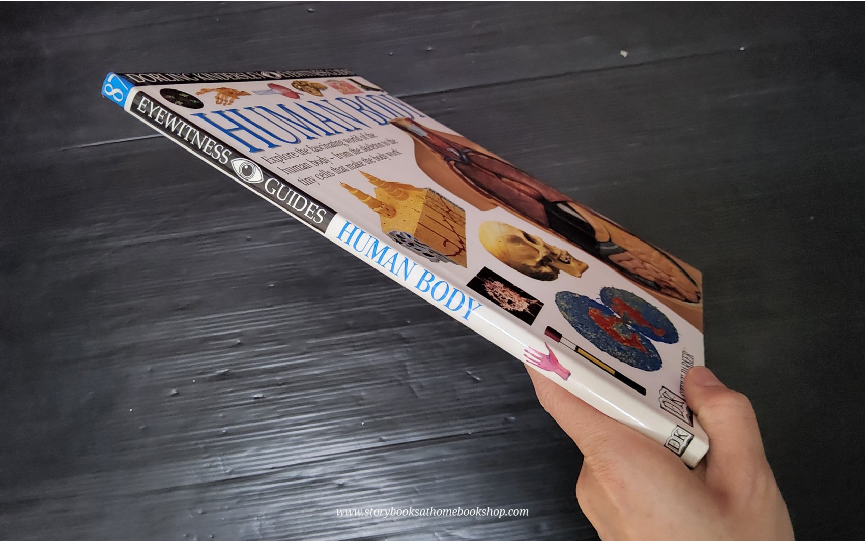 KNOWLEDGE BOOK** ♥️DK EYEWITNESS GUIDES:HUMAN BODY