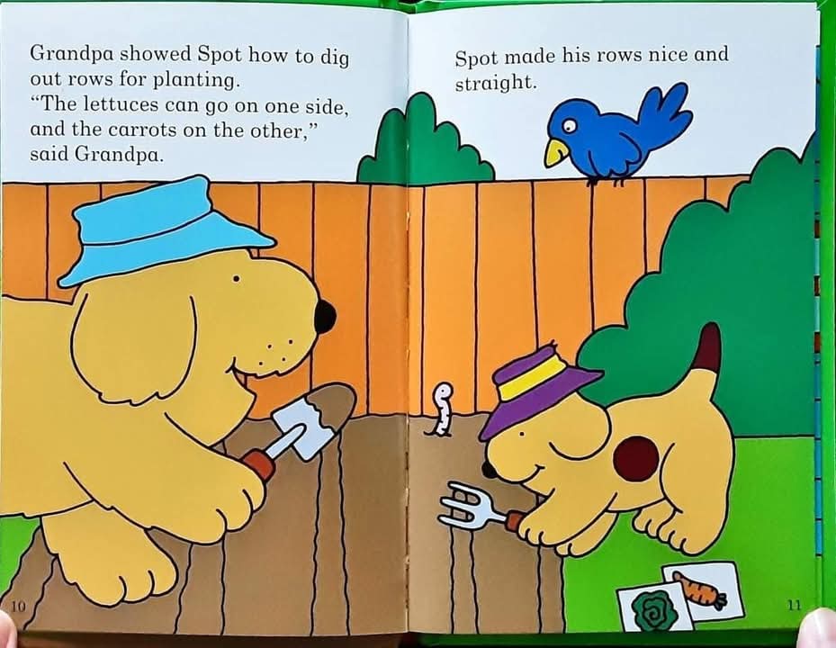 หนังสือนิทานปกแข็ง ** 🍅🍓 Spot's Garden by Eric Hill