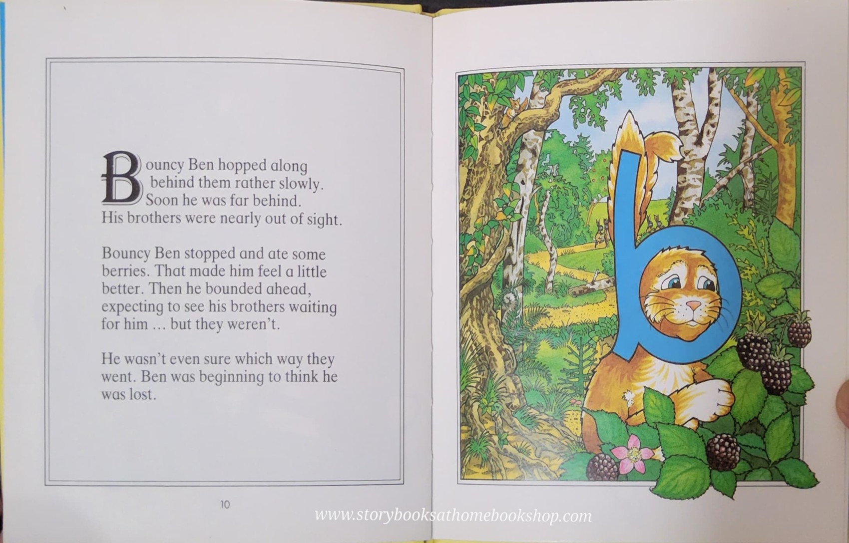 หนังสือนิทานปกแข็ง** 🍅🍓BOUNCY BEN'S BIRTHDAY by The Letterland storybooks