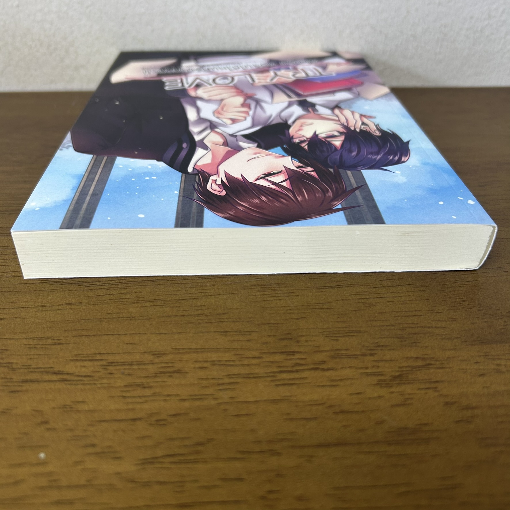 [YAOI] Try Love รักครับ ขอจีบได้ไหมครับอาจารย์ ... Memew (มือสอง) นิยายวาย