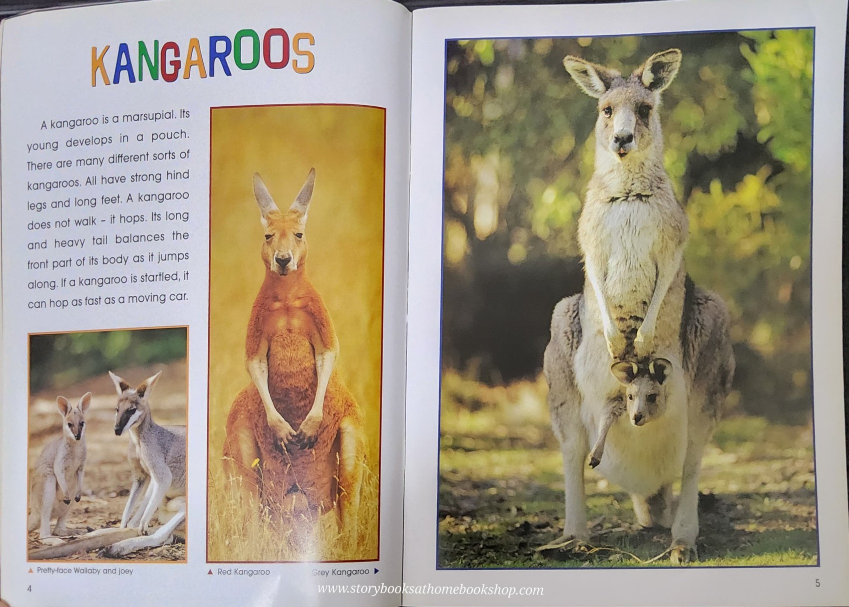 KNOWLEDGE BOOK** ð
ðNATURE KIDS AUSTRALIAN WILDLIFE