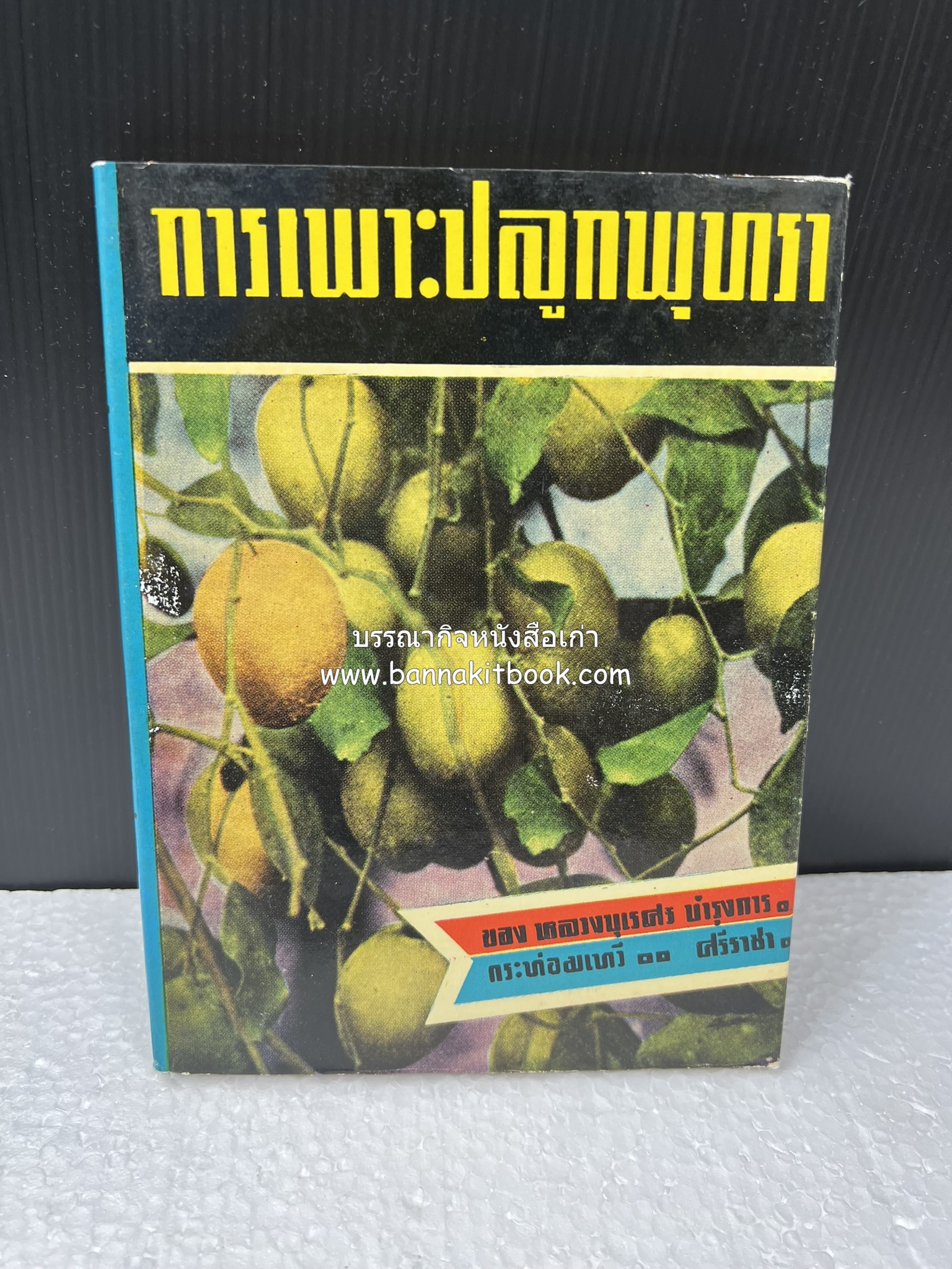 การเพาะปลูกพุทรา ตำราชุดเกษตรกรรม ของ หลวงบุเรศบำรุงการ.