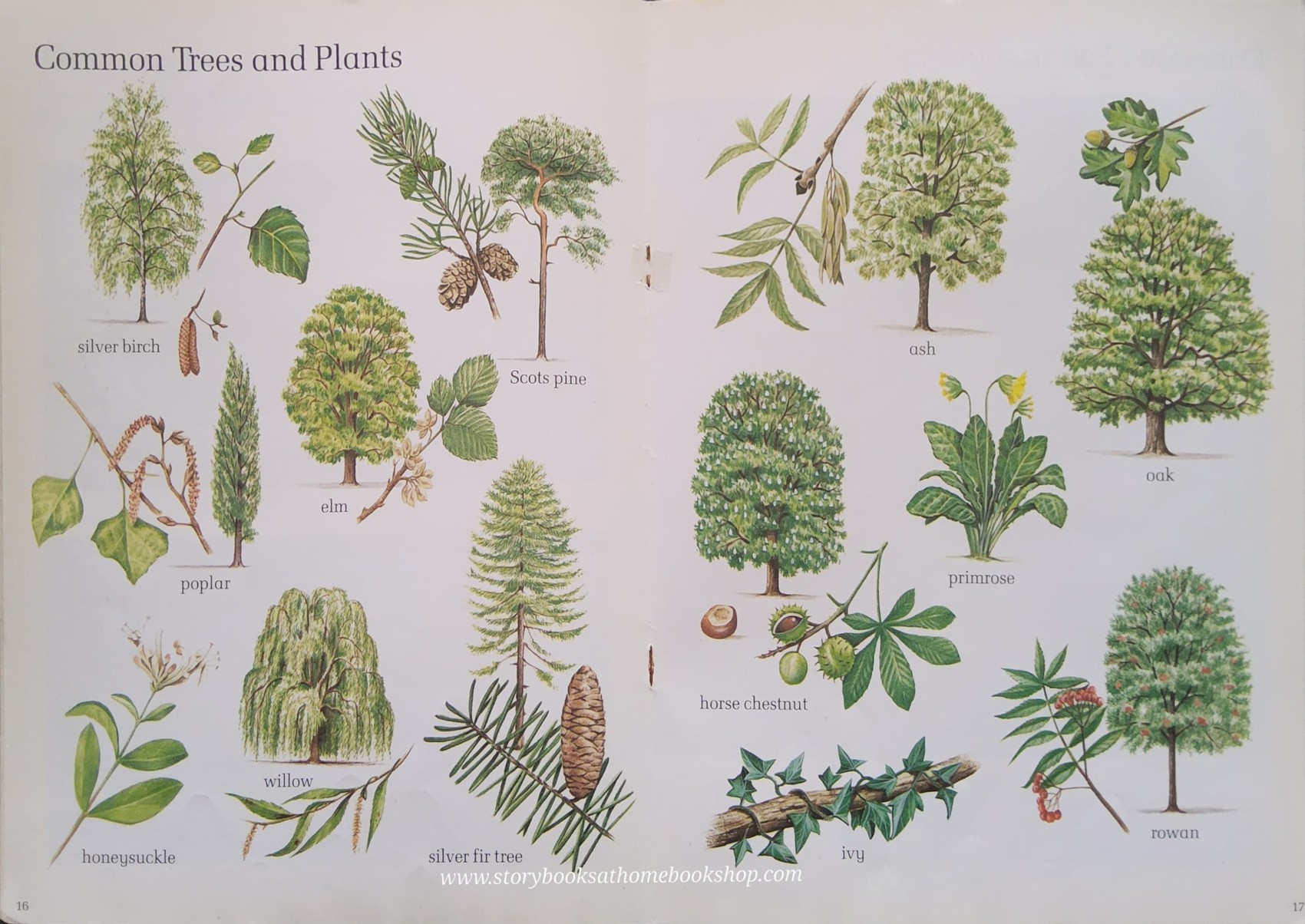 KNOWLEDGE BOOK** 🍓🍓 THE SAINSBURY'S BOOK OF WILDLIFE