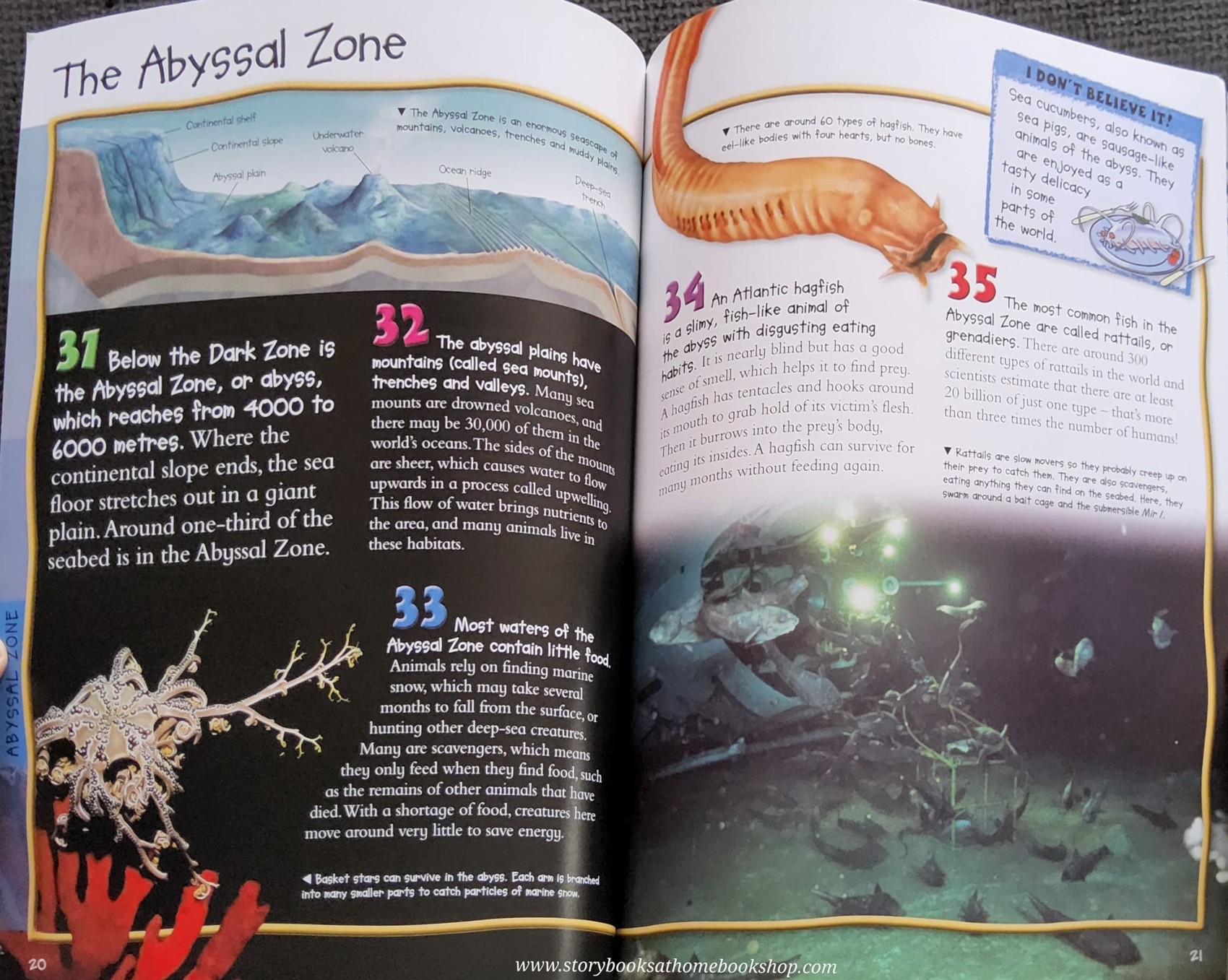 KNOWLEDGE BOOK** ♥️100 FACTS DEEP OCEAN