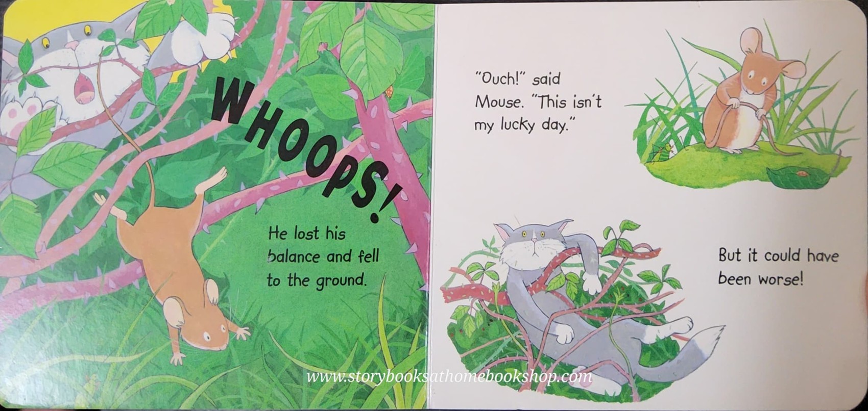 BOARD BOOK** 🍅🍓IT COULD HAVE BEEN WORSE