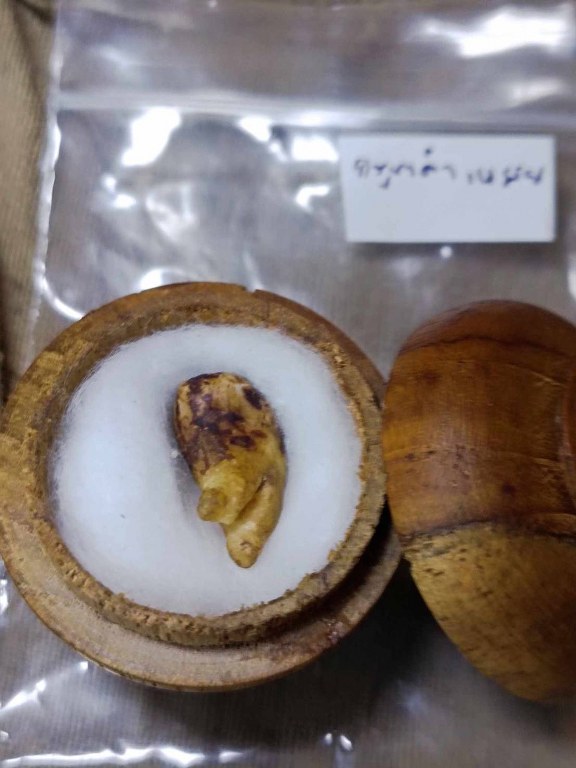 พระทันตธาตุครูบาเหมย วัดศรีดงเย็น อ.ไชยปราการ จ.เชียงใหม่ พระทันตธาตุองค์นี้ได้มาจากลุงวิทูรย์ อายุ 82 ปี อดีตเคยเป็นครูสอนโรงเรียนไชยปราการ คุณครูท่านเป็นลูกศิษย์ครูบาคำเหมย ตั้งแต่ปี 2525 ท่านได้รับจากมือครูบาเหมย เมื่อปี 2529