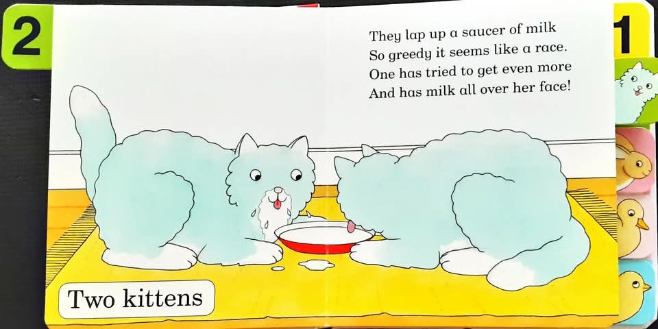 BOARD BOOK** 🍅🍓How Many ?by Rod Campbell