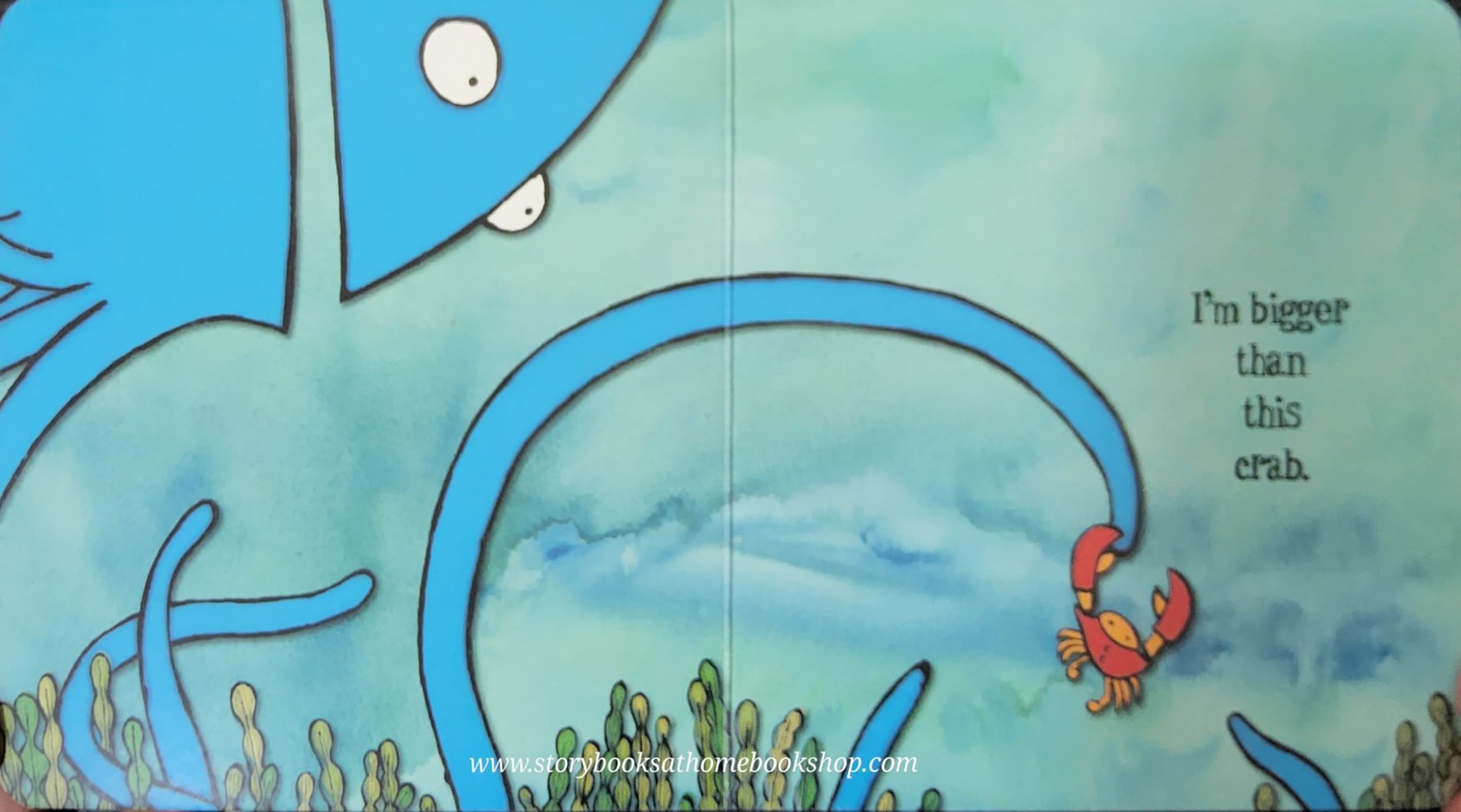 BOARD Book** 🍅🍓I'M TH BIGGEST THING IN THE OCEAN