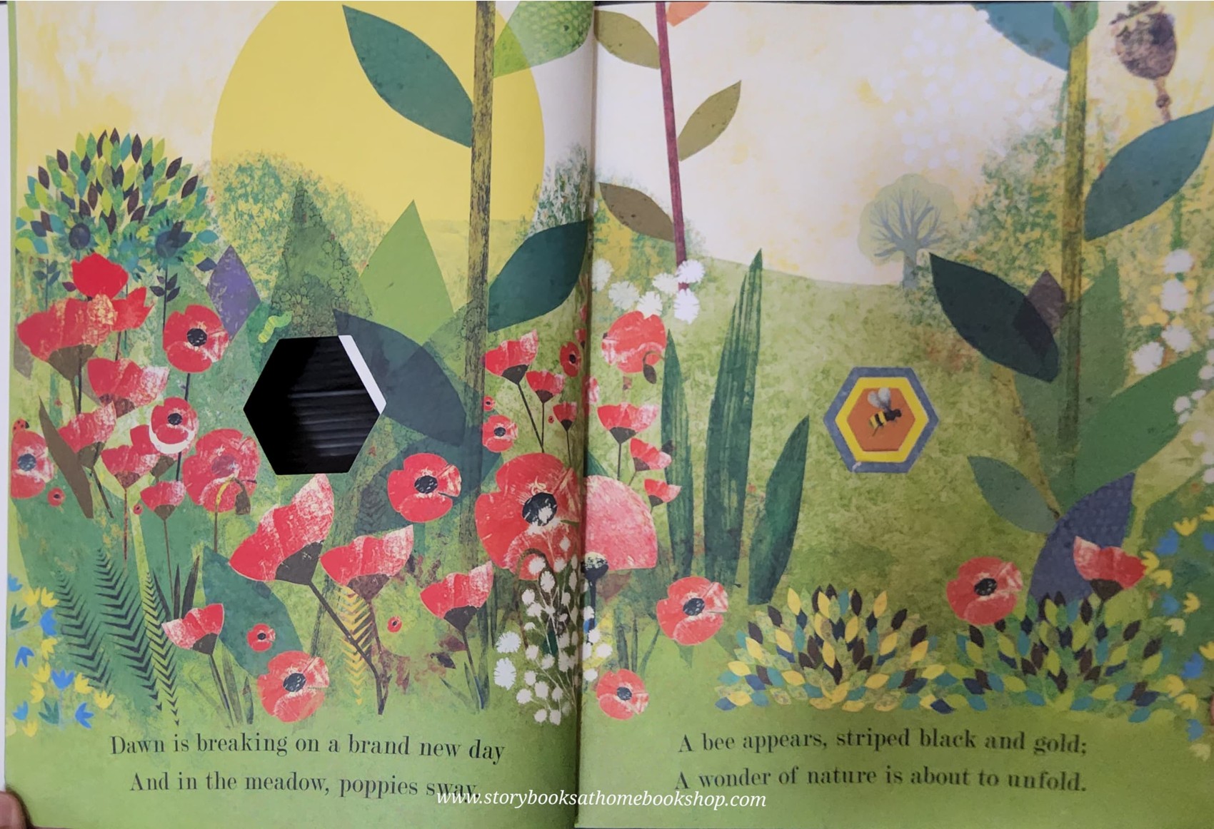 หนังสือนิทานปกอ่อน** 🍓🍓NATURE'S TINY MIRACLE BEE