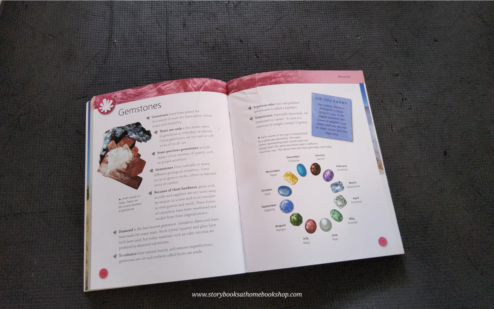 KNOWLEDGE BOOK** ♥️ROCK&FOSSILS DISCOVER THE WORLD BENEATH YOUR FEET