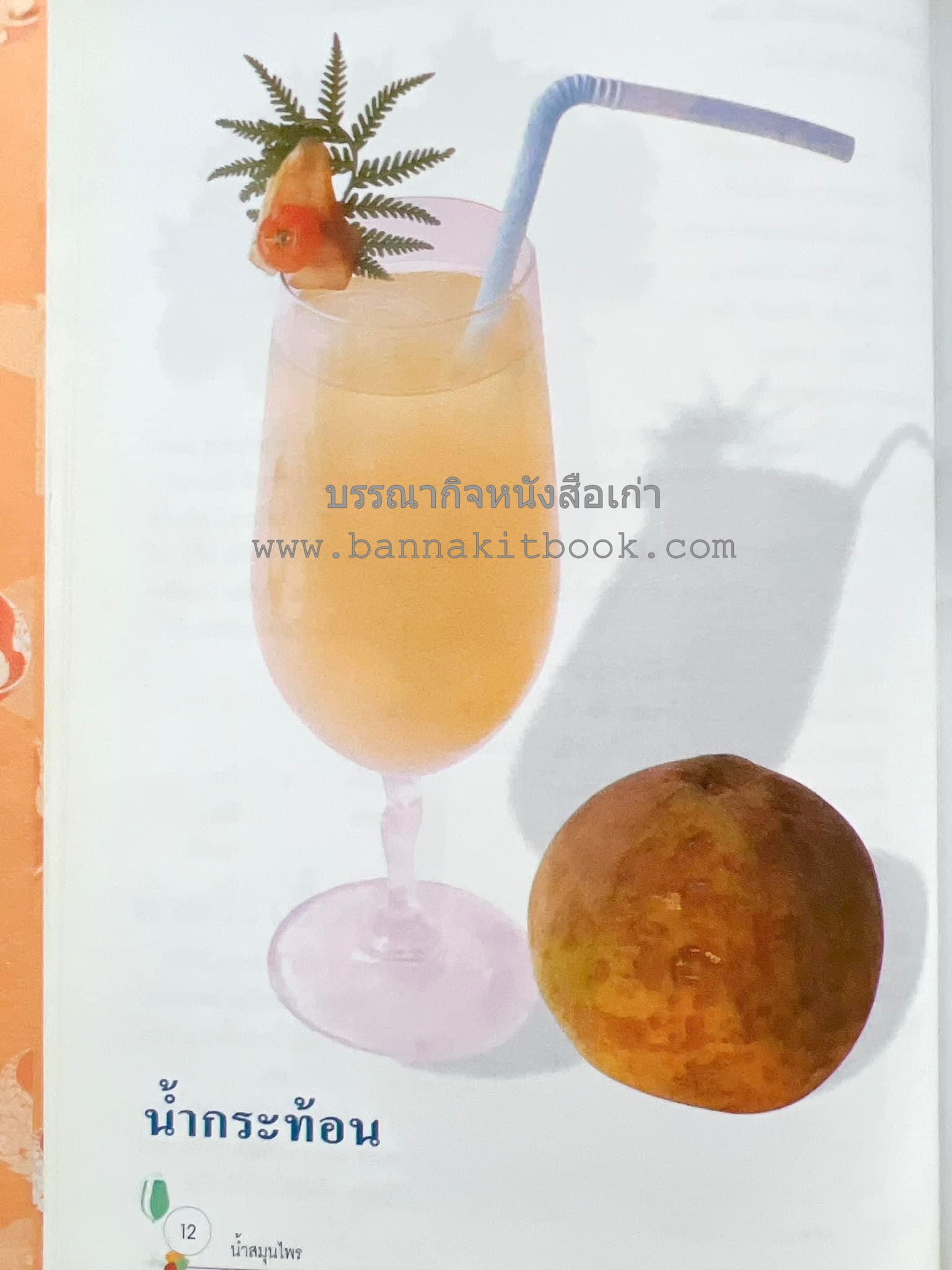 น้ำสมุนไพร 108 สูตร-วิธีทำจากผักพื้นบ้านและผลไม้ไทย โดย สถาบันการแพทย์แผนไทย.