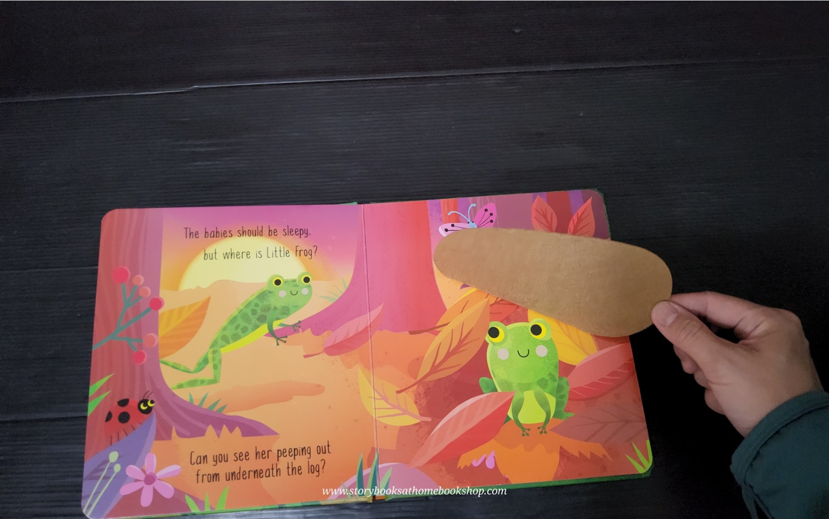 TOUCH AND FEEL BOARD BOOK** ♥️HIDE AND SEEK IN THE FOREST