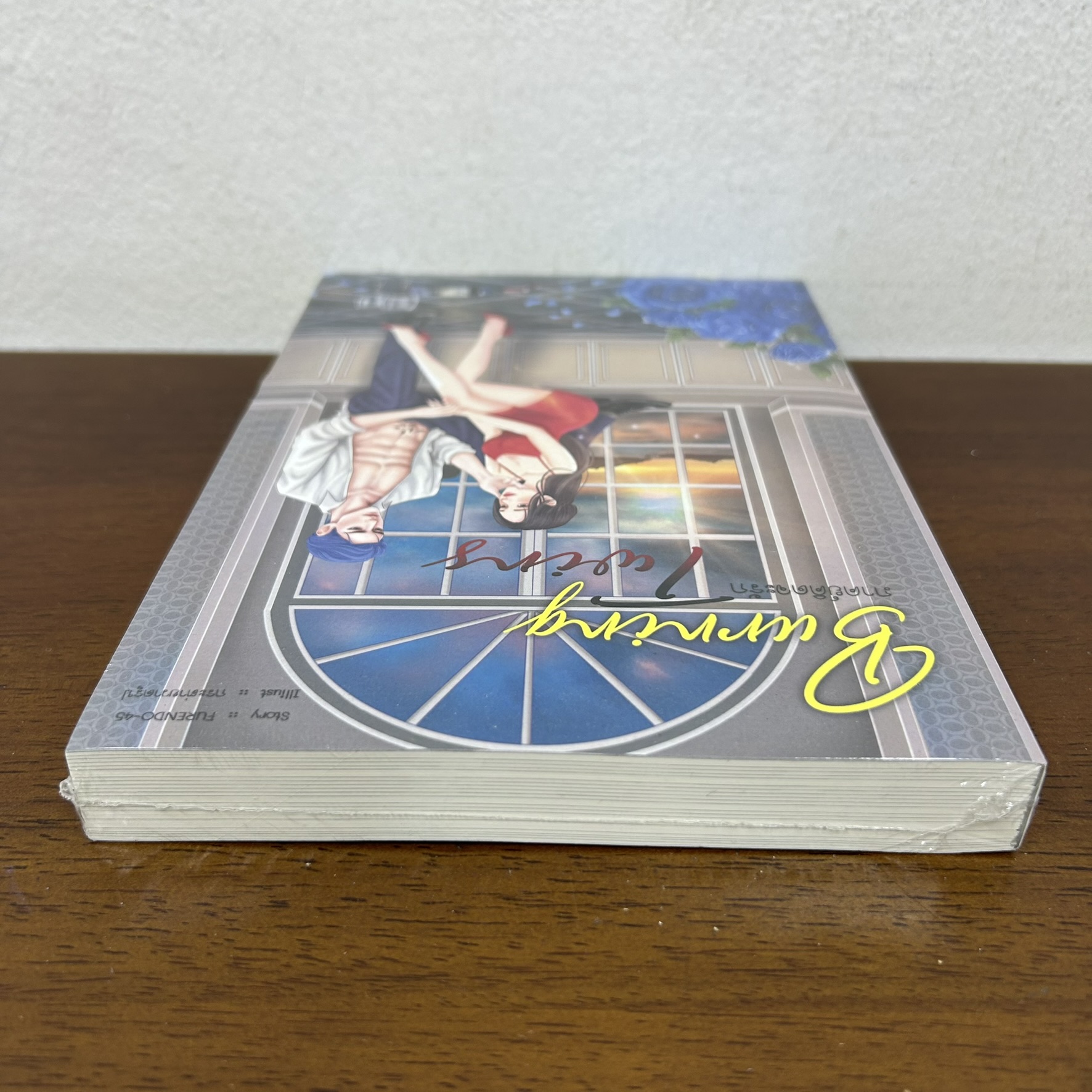 Burning Twins ภาคย์คิดจะรัก ... FURENDO-45 (มือหนึ่งซีล) นิยาย โรมานซ์