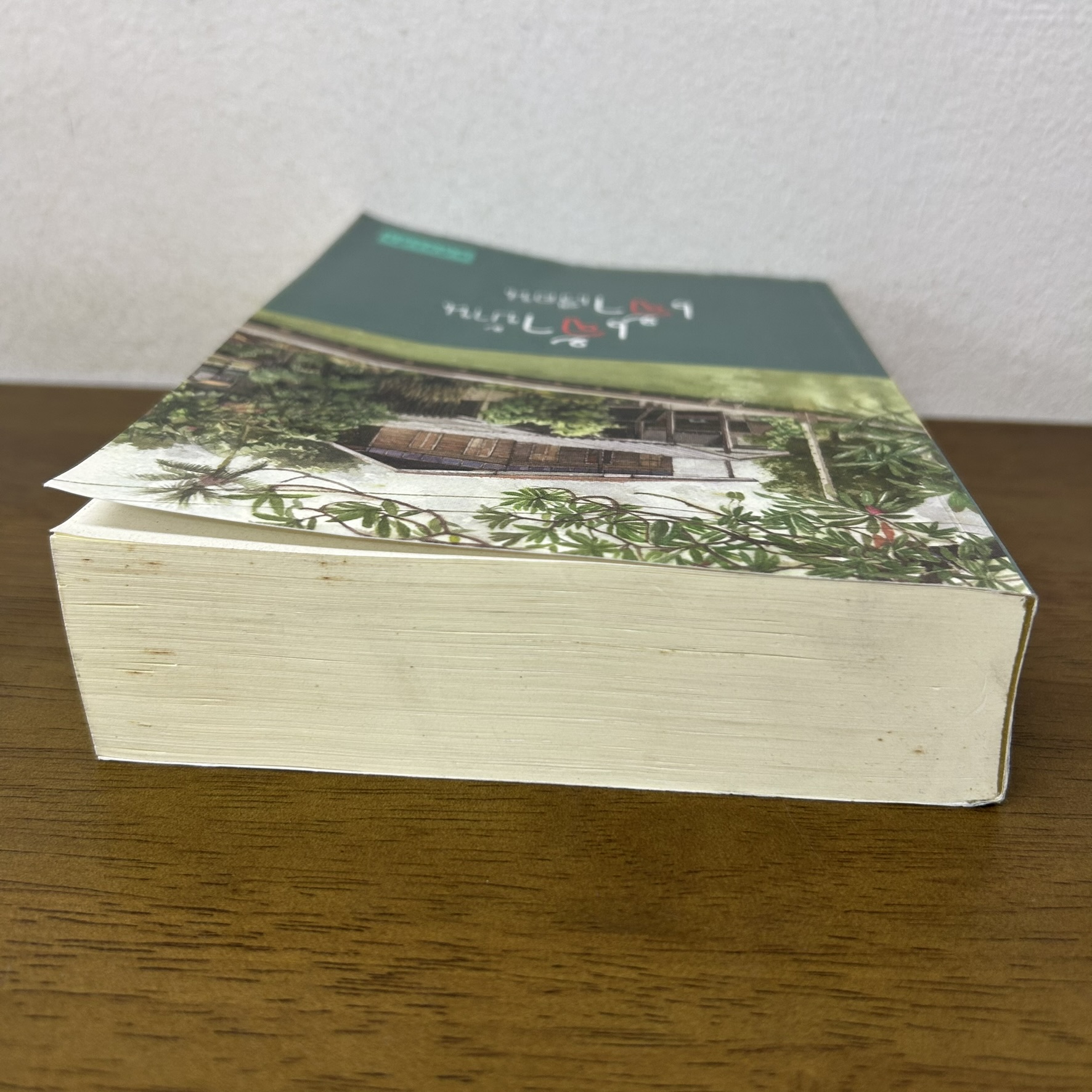 เจ้าบ้านเจ้าเรือน ... แก้วเก้า (มือสอง) นิยาย โรแมนติก ทรีบีส์ เพื่อนดี