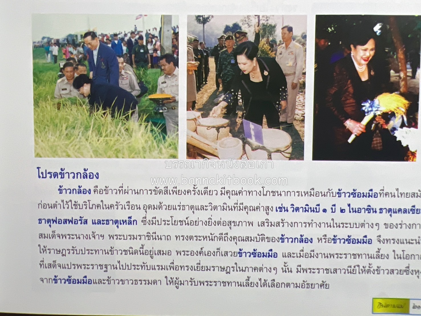 84 เมนูน้ำพริก ผัก รักษ์สุขภาพ และกินตามแม่ (2 เล่มชุด).