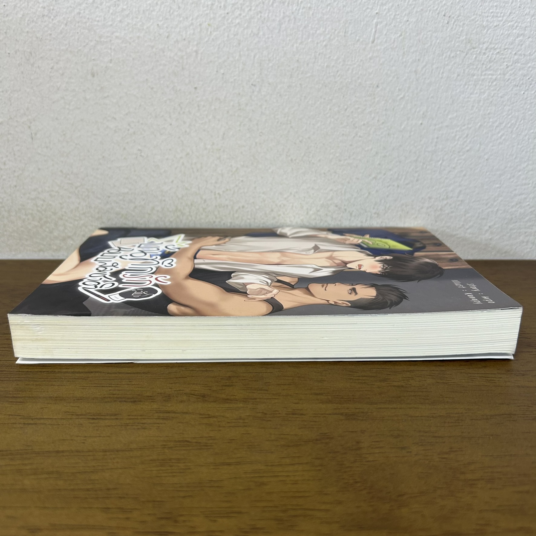 [YAOI] บันทึกรัก (ลับ) ฉบับสมชาติ ... Arpo (มือสอง) นิยายวาย SENSE