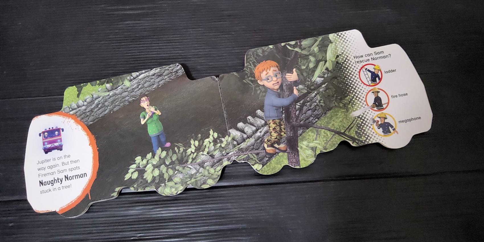 BOARD BOOK** ♥️FIREMAN SAM:JUPITER TO THE RESCUE!