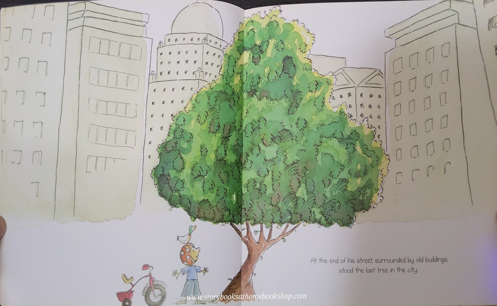 หนังสือนิทานปกอ่อน** 🍅🍓LAST TREE IN THE CITY BY PETER CARNAVAS