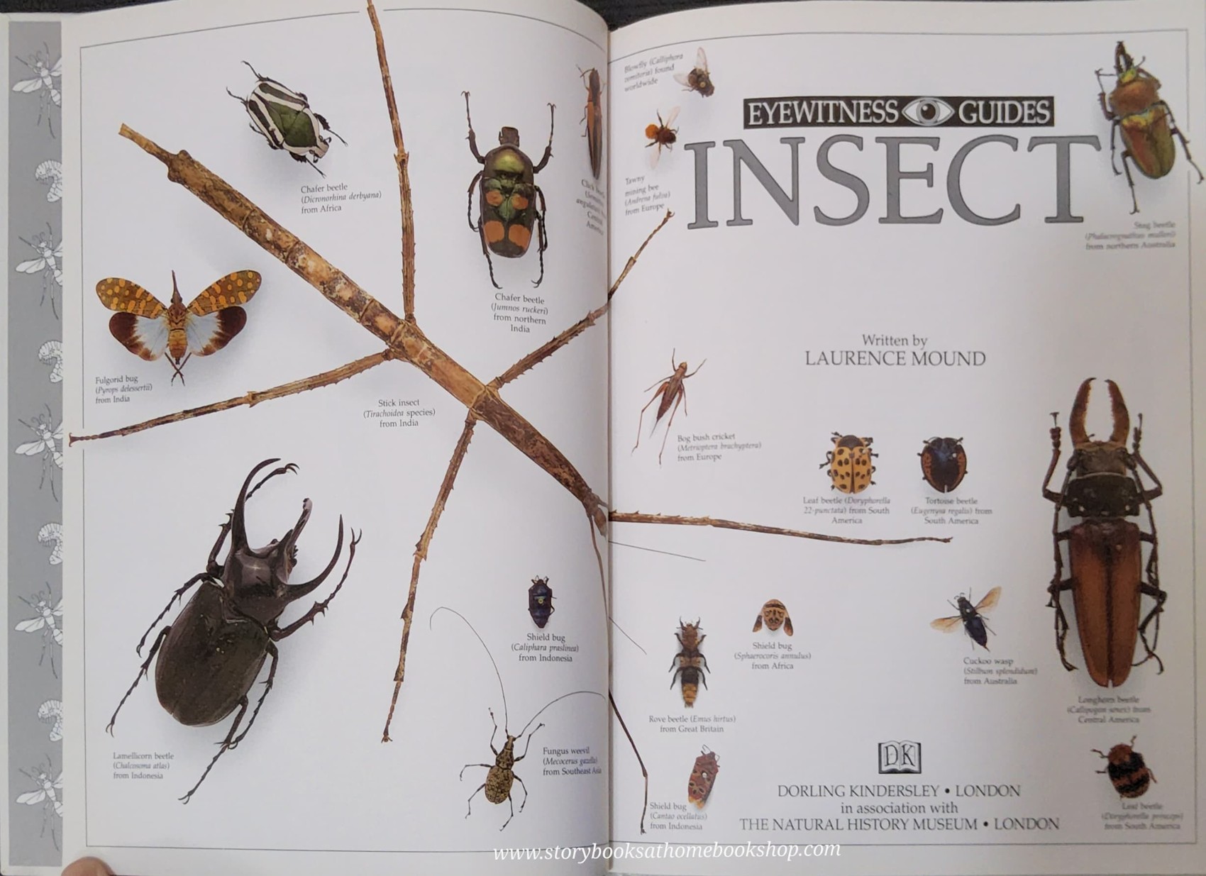 Knowledge Book** ð
ð
EYEWITNESS: INSECT