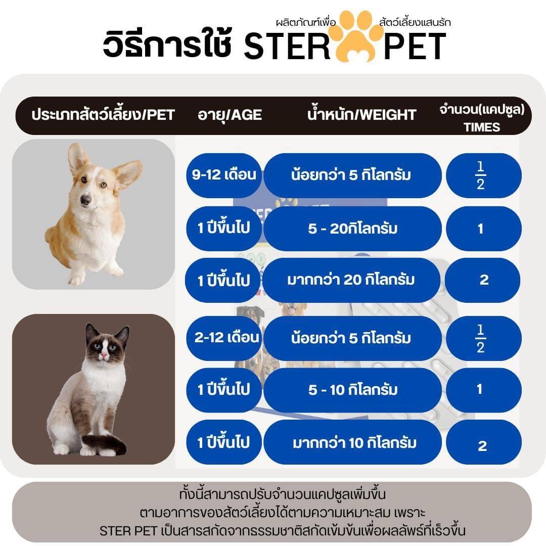 เซตทดลอง สเตอร์ เพ็ท Ster Pet เนื้องอกหมาแมว ก้อนเนื้อหมาแมว มะเร็งสุนัขแมว ลดอักเสบ ลดขนาดก้อนเนื้อ เบื่ออาหาร น้ำหนักลด ไตวายหมาแมว แผลยุบเร็ว ( 15 แคปซูล)