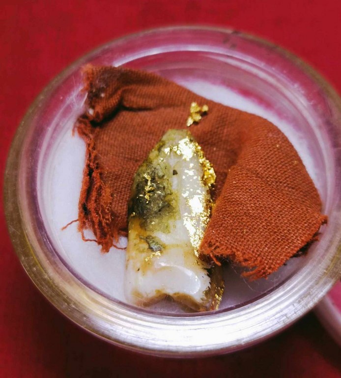 พระทันตธาตุ ครูบาธรรมธิ วัดสันป่าตึง อ.แม่แตง จ.เชียงใหม่ ได้มาจากพ่อหนานจักร อายุ 82 ปี ปัจจุบัน (พ.ศ.2567) ยังมีชีวิตอยู่ แม่แตง จ.เชียงใหม่ เคยบวชรับใช้ครูบาธรรมธิ ตั้งแต่ปี 2529 - 2536 และสึกในปี 2540 ท่านได้พระทันตธาตุนี้มาเมื่อปี 2536