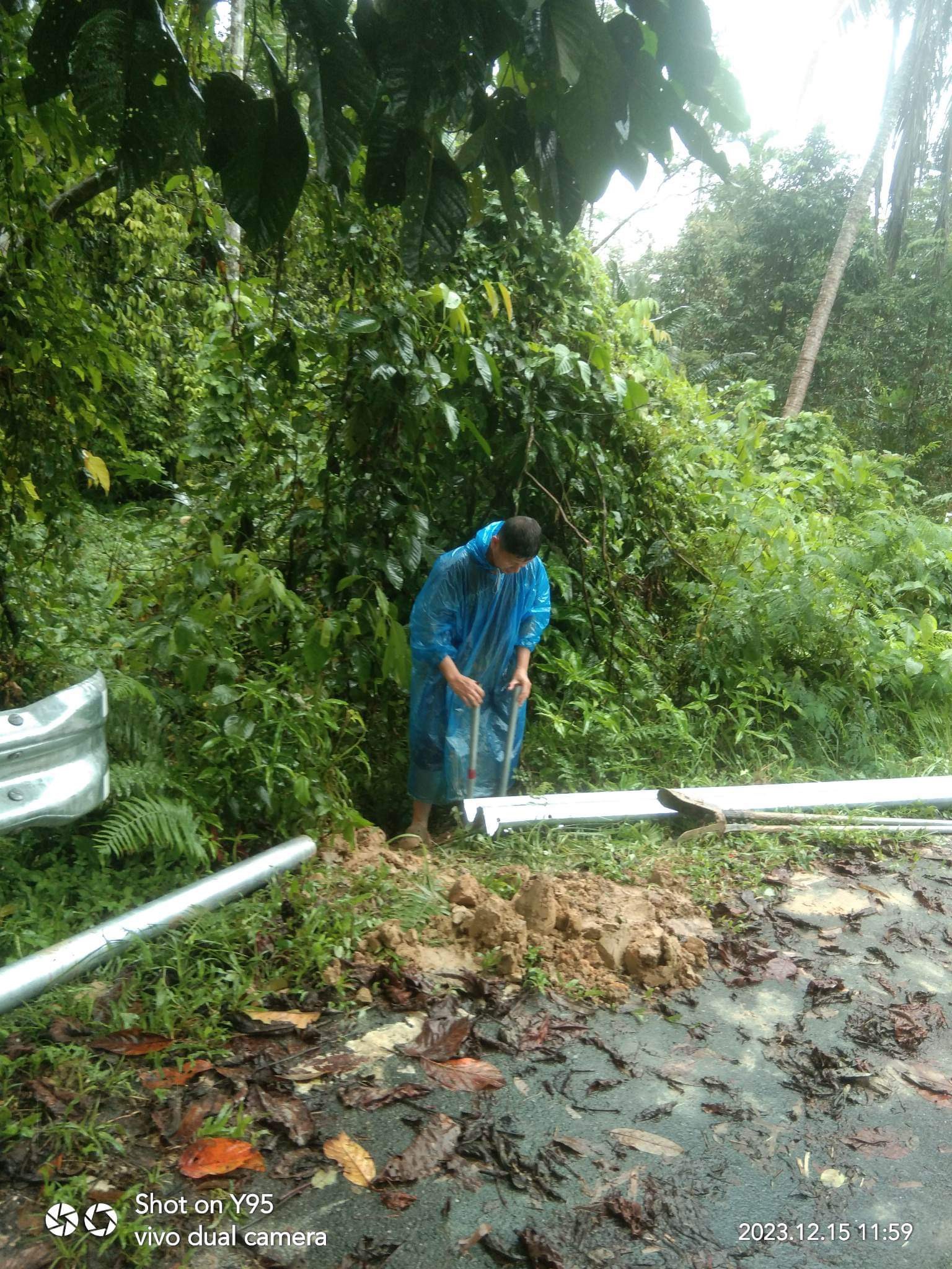 การ์ดเรล