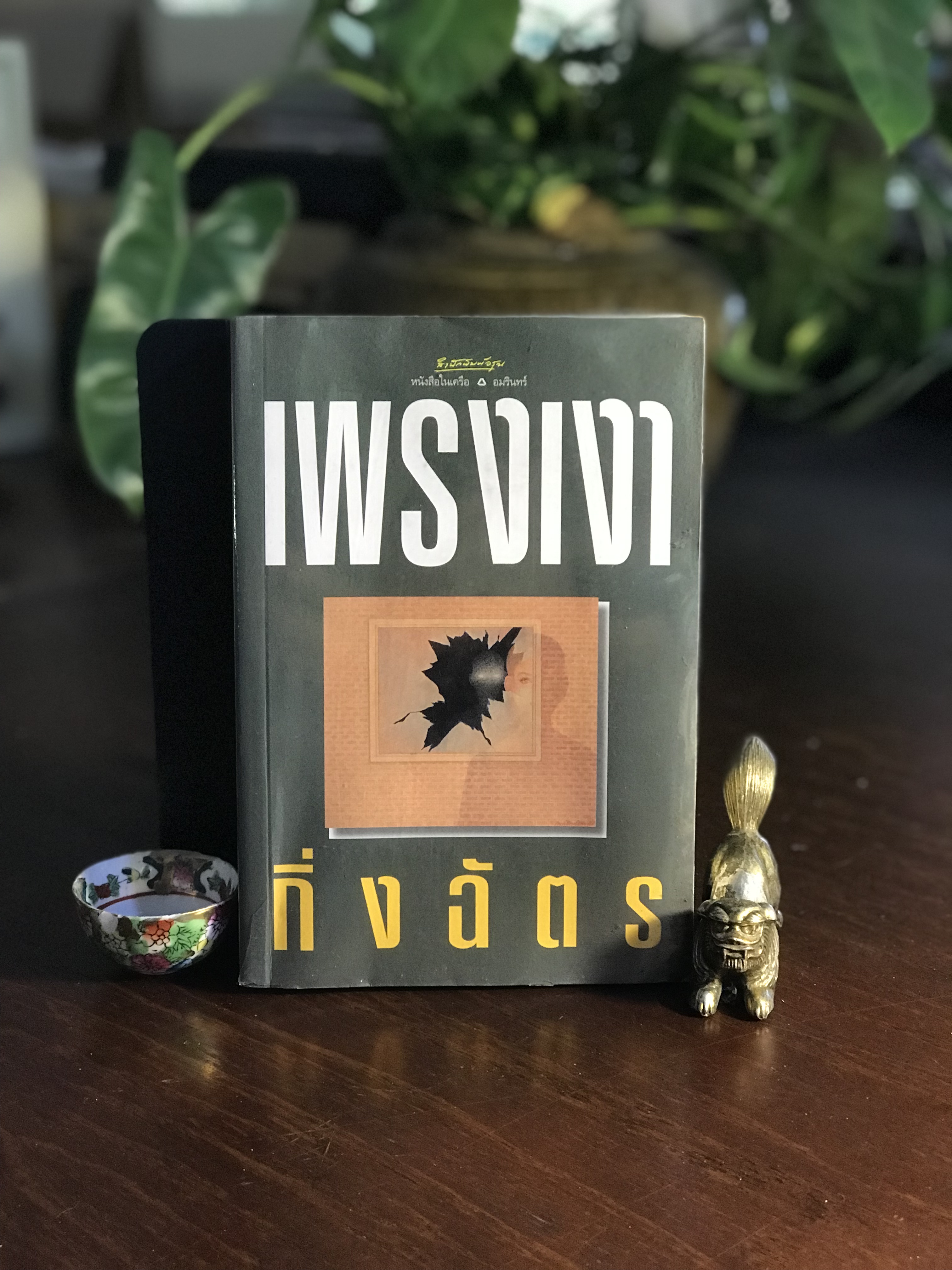 เพรงเงา ผู้เขียน กิ่งฉัตร สำนักพิมพ์: อรุณ➡️H15