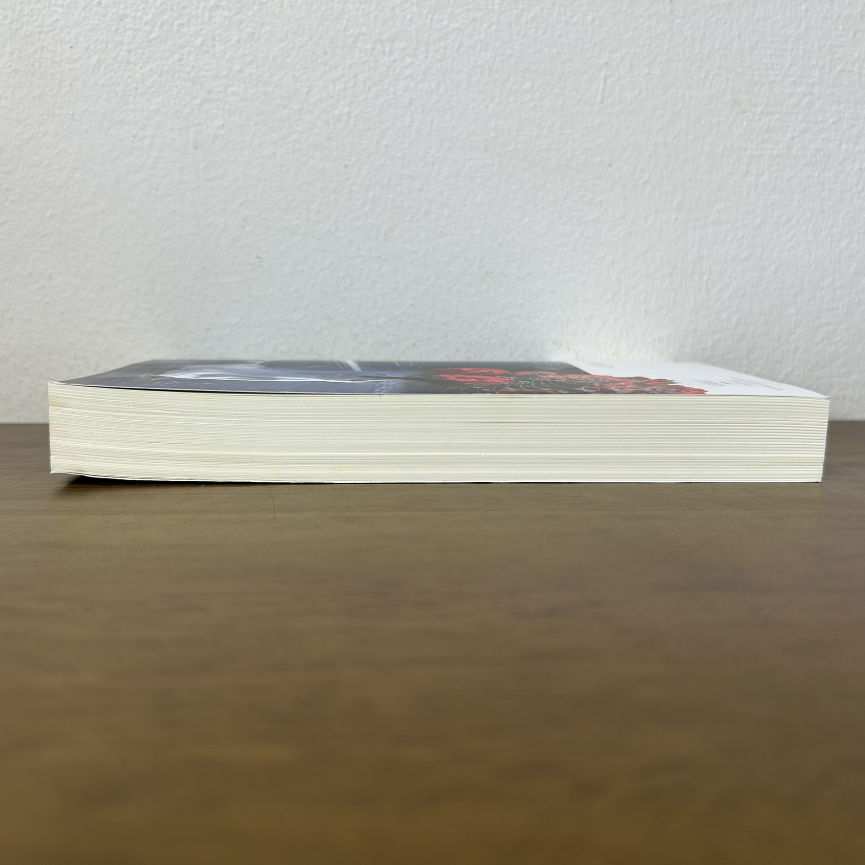 บำบัด...เสน่หา ... ชาณา (มือสอง) นิยาย โรแมนติก Dbook