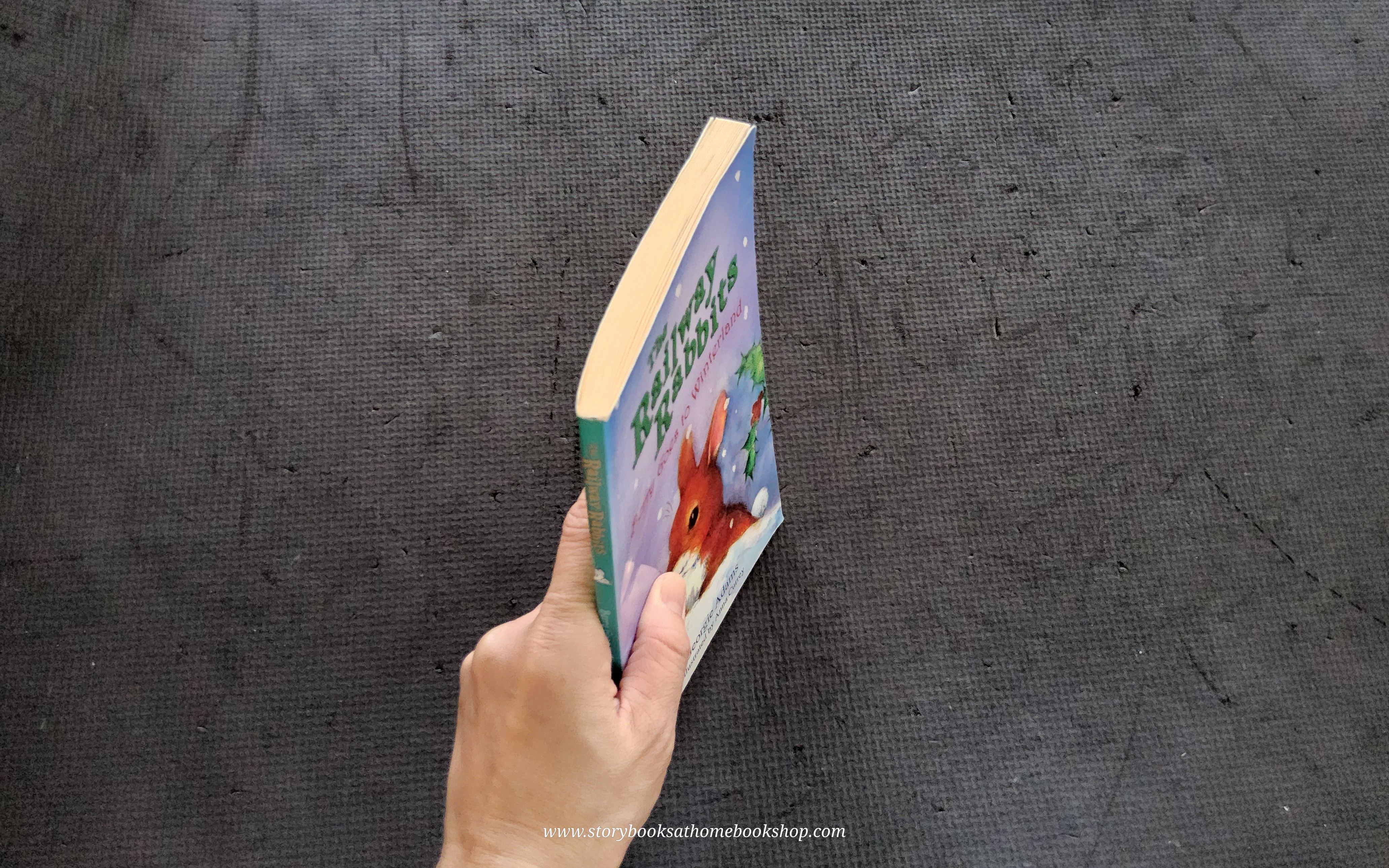 วรรณกรรมเยาวชน** 🍅The Railway Rabbites: Berry Goes to Winterland by Georgie Adams Anna Currey