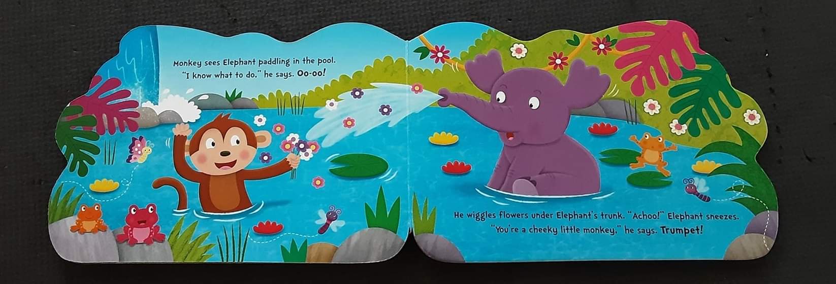 BOARD BOOK** 🍅🍓CHEEKY MONKEY