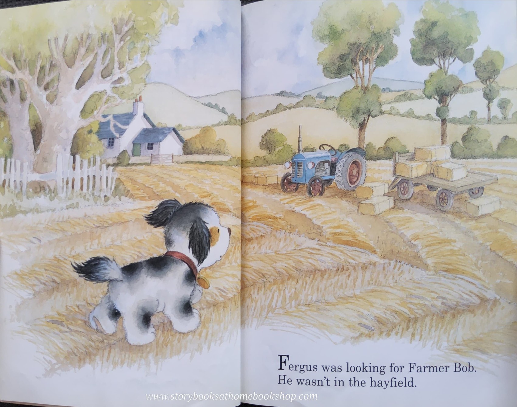 หนังสือนิทานปกอ่อน ** 🍅🍓 FERGUS'S BIG SPLASH