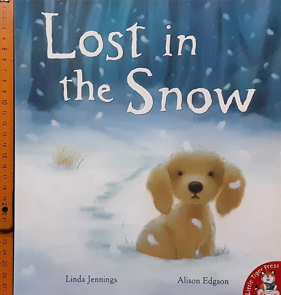 *หนังสือนิทานปกอ่อน** 🍓🍓 Lost in the Snow