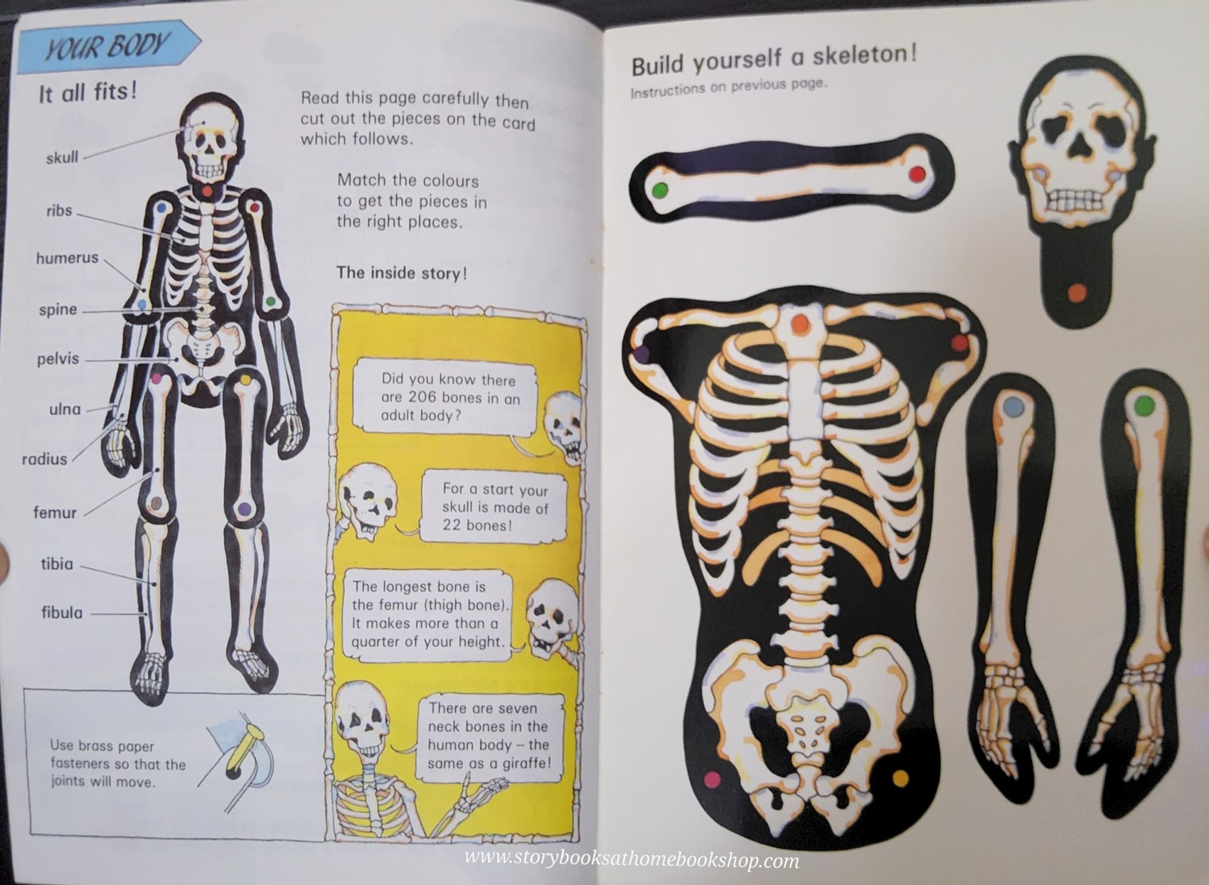 KNOWLEDGE ACTIVITIES BOOK** ð
MORE FUN WITH SCIENCE