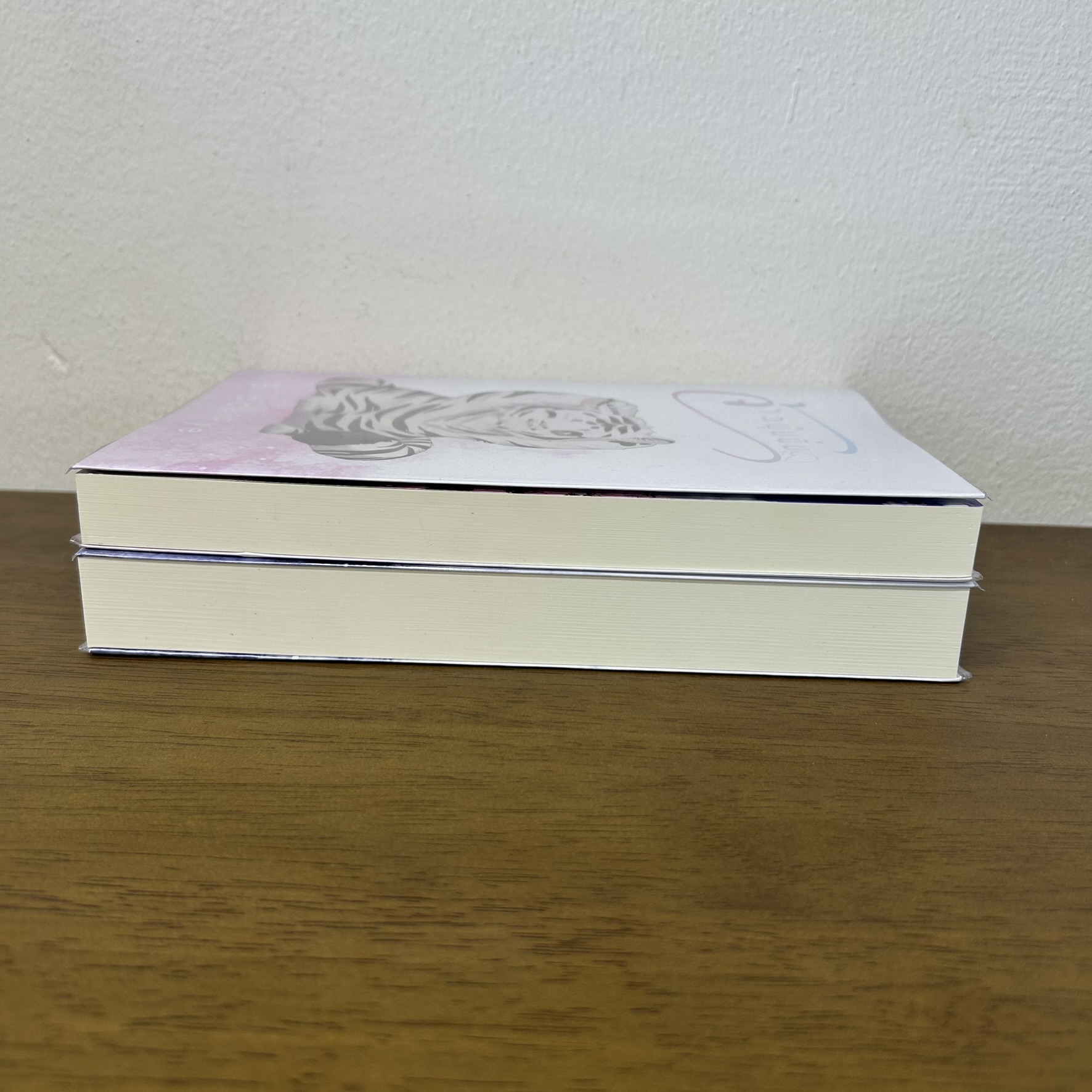 [YAOI] จ้าวป่า + จ้าวนุ่มนิ่ม 2 เล่ม ... Black Aye (มือสอง) นิยายวาย ทำมือ