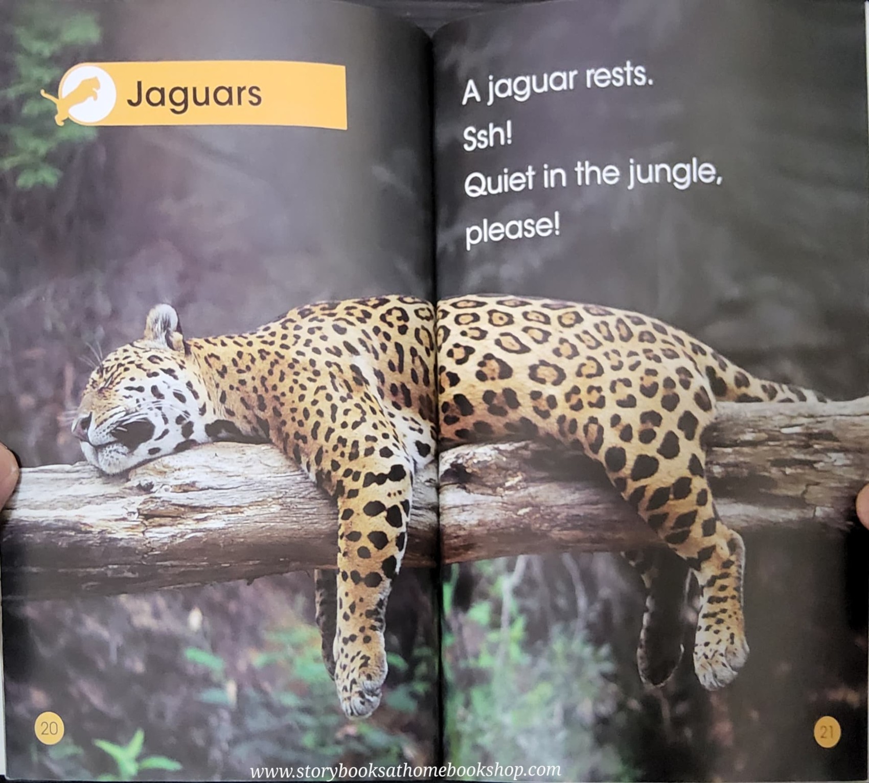 KNOWLEDGE BOOK ** 🍅🍓DK LEVEL 1 JUNGLE ANIMALS