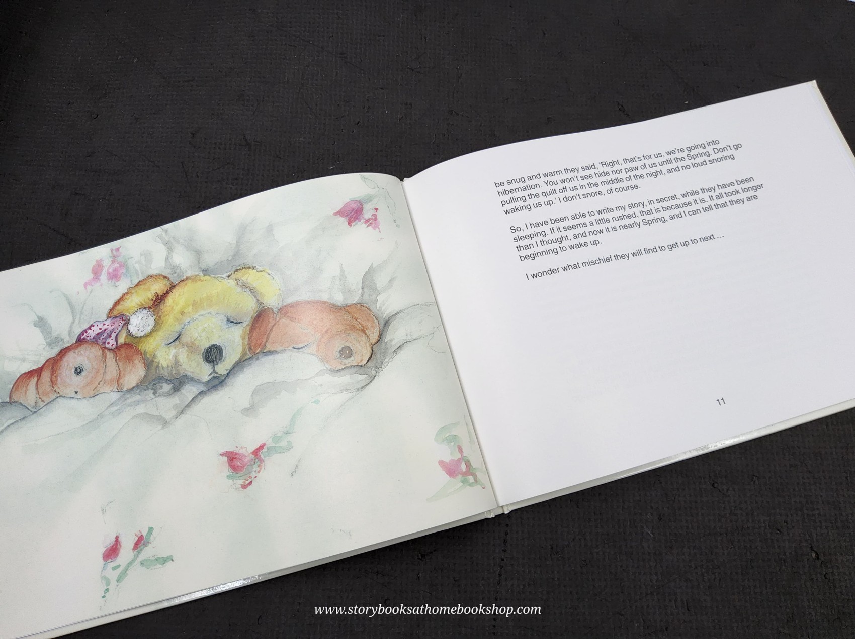 หนังสือนิทานปกแข็ง ** 🍅🍓TEDDIES BEARED BY LIZ LAWREN