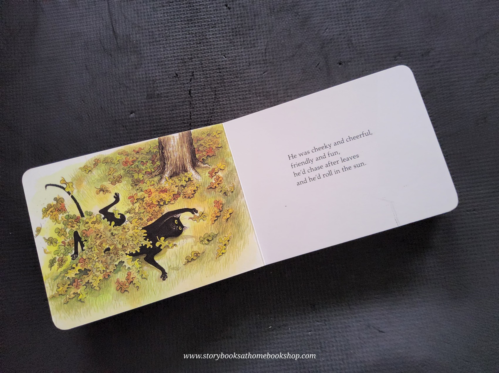 BOARD BOOK ** 🍅🍓Slinky Malinky by Lynley Dodd