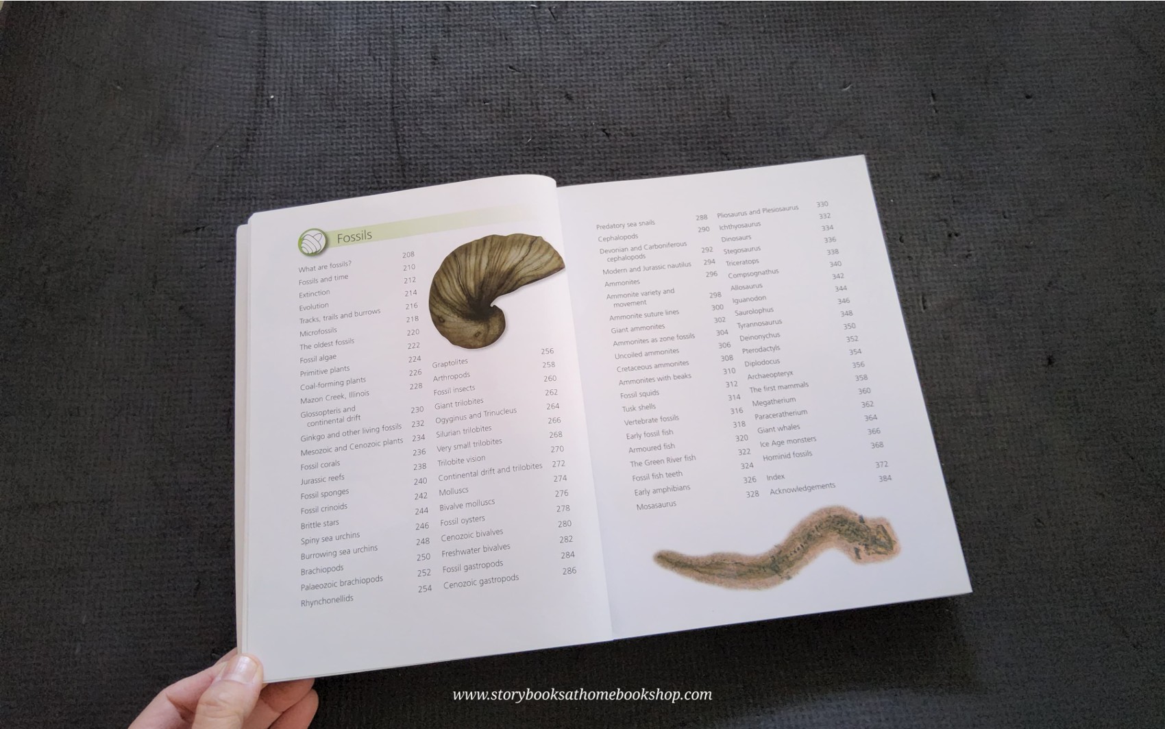 KNOWLEDGE BOOK** ♥️ROCK&FOSSILS DISCOVER THE WORLD BENEATH YOUR FEET