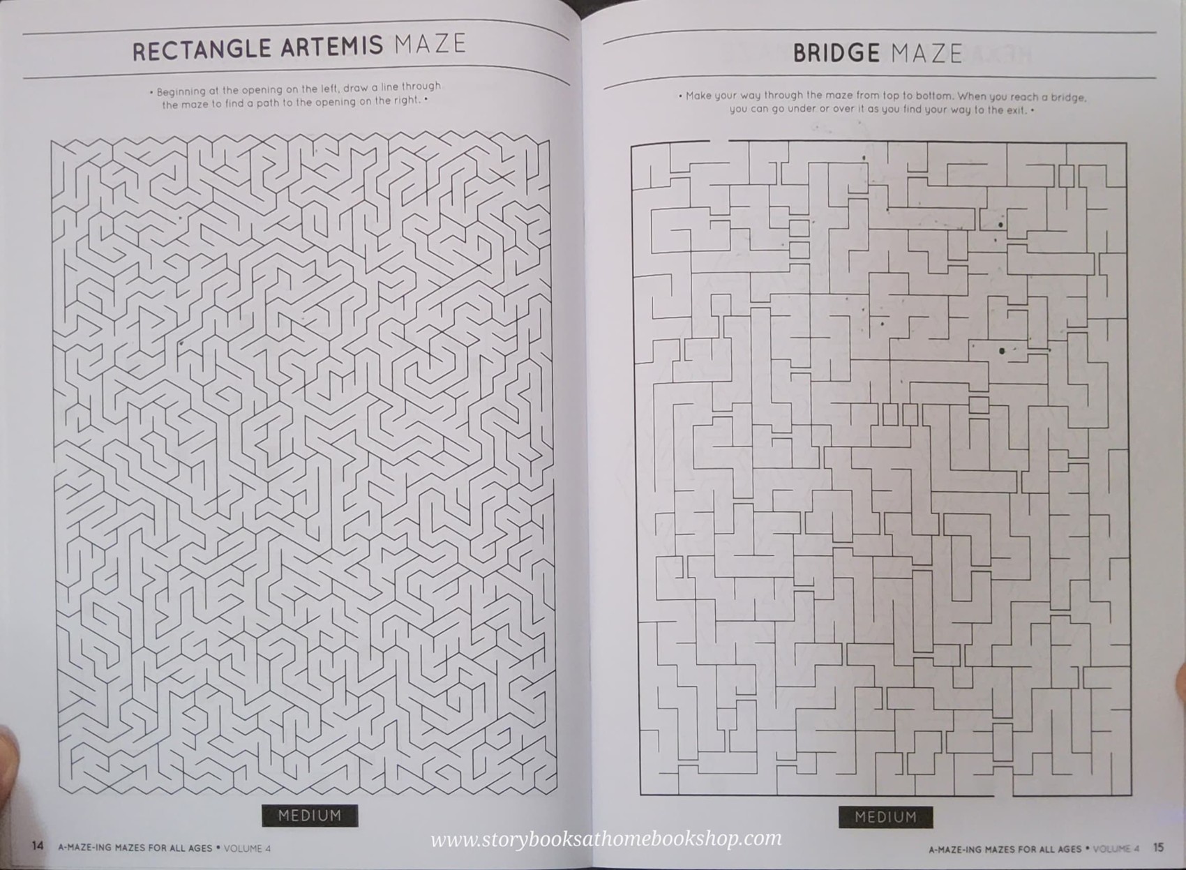 ACTIVITY BOOK** 🍅🍓A MAZE ING MAZES FOR ALL AGES (VOL3-4)