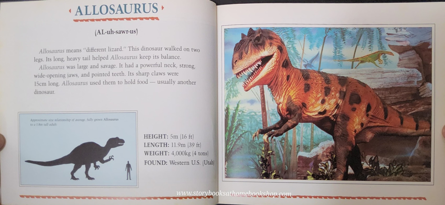 หนังสือนิทานปกอ่อน ** 🍅🍓 DINAMATION'S DINOSAURS ALIVE!