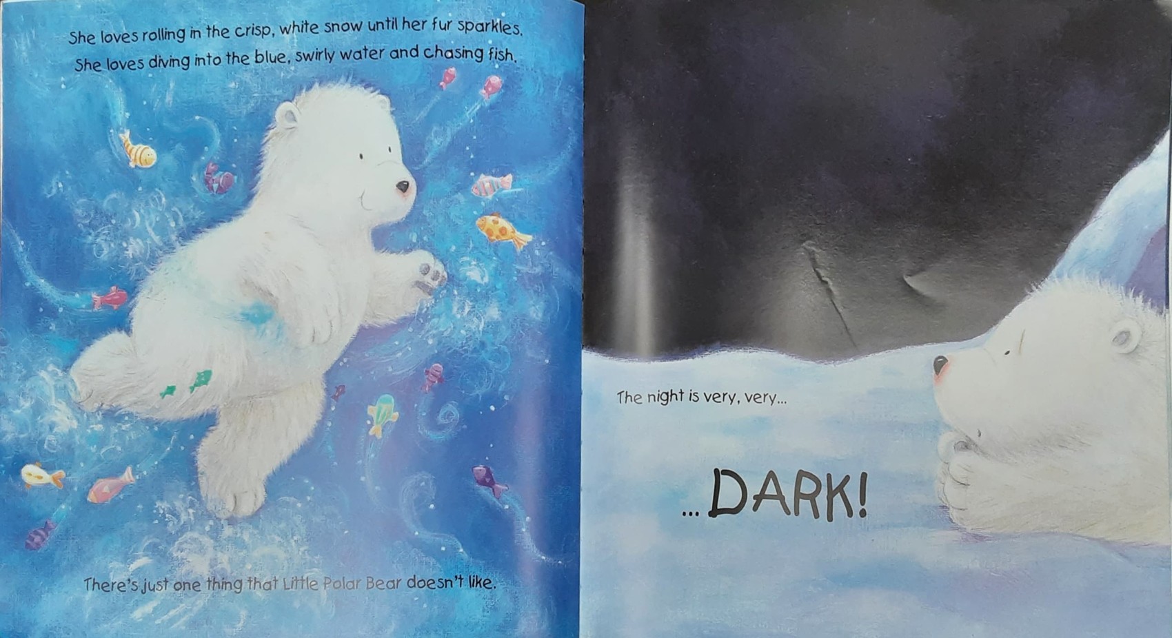 หนังสือนิทานปกอ่อน** 🍅🍓BEAR'S MAGIC MOON