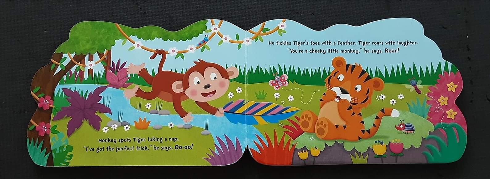 BOARD BOOK** 🍅🍓CHEEKY MONKEY