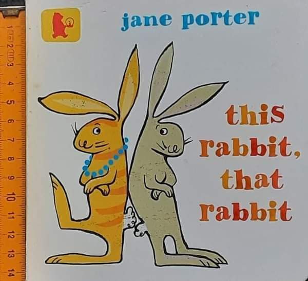 Board Book** 🍅🍓this rabbit,that rabbit by jane porter