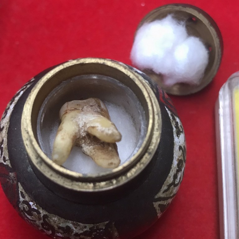 พระทันตธาตุครูบาคำ สังวโร วัดศรีดอนตัน ต.มะเขือแจ้ อ.เมือง จ.ลำพูน ชุดนี้ได้มาจาก พระชัย อายุ 42 ปี เคยอยู่กับ และรับใช้ครูบาคำ ตอนนี้ (พ.ศ.2566) พระชัยจำพรรษาอยู่วัดแม่สารป่าขาม อ.เมือง จ.ลำพูน