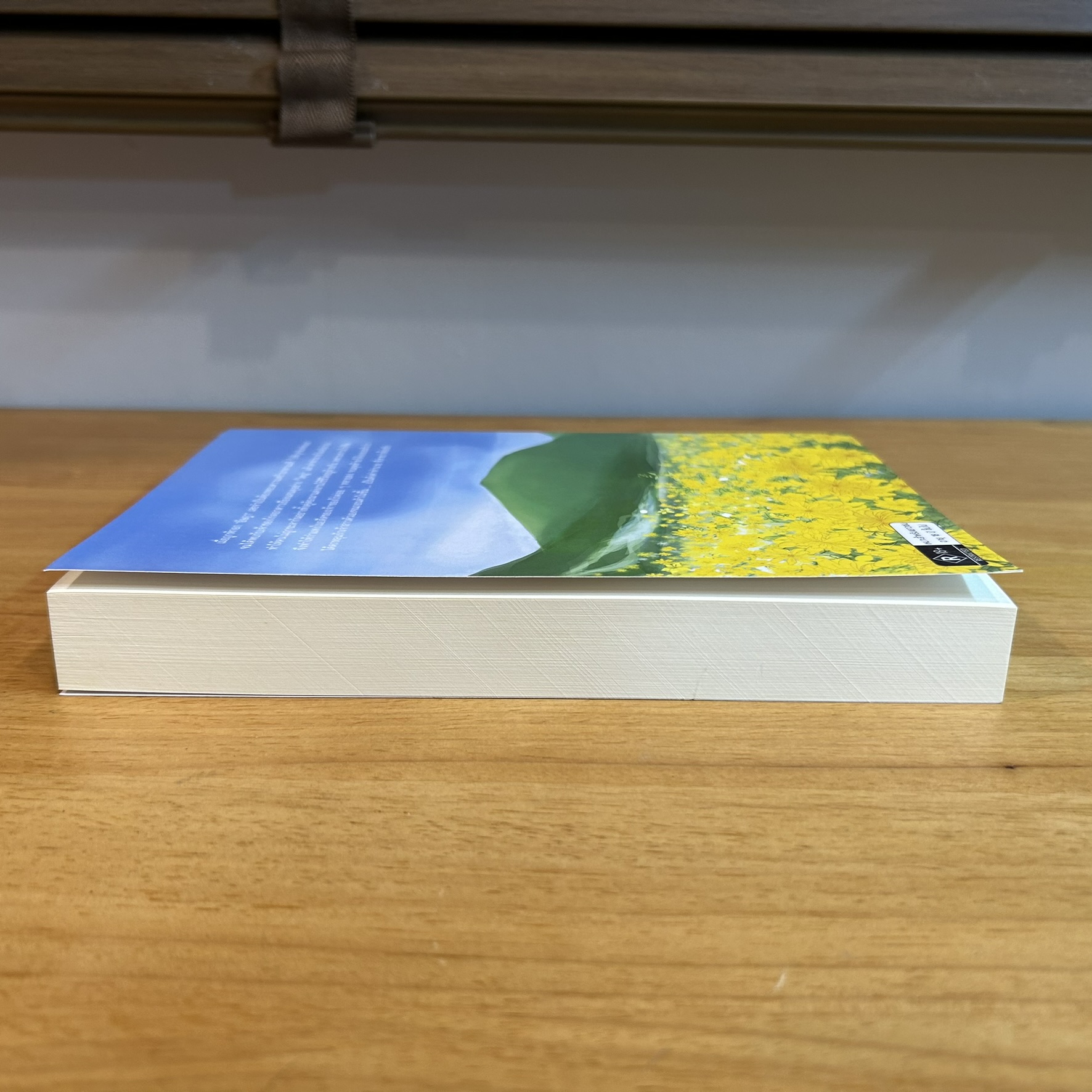 [YAOI] คำทำนาย ทายว่าต้องรัก ... AiaeaAiaea (มือสอง) นิยายวาย