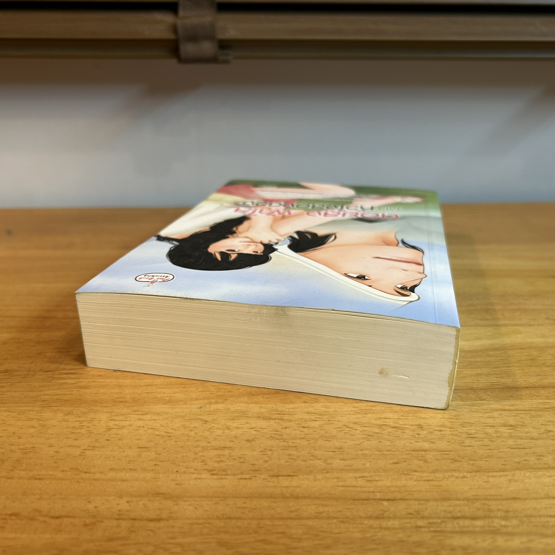 ดอยสูงฟ้าใส กับหัวใจสองดวง ... เรซิน (มือสอง) นิยาย โรแมนติก